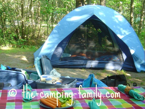 Organized camping kitchen.  Camping organization, Camping storage, Rv  camping