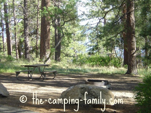 empty campsite in the woods