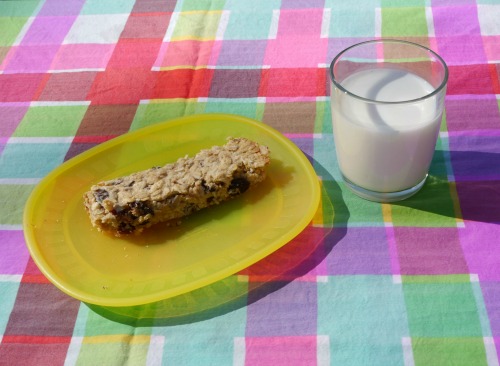 homemade granola bar