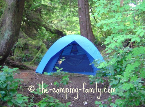 tent in sheltered campsite