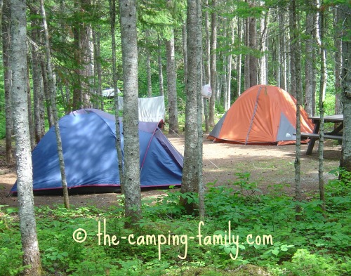 wooded campsite with two tents